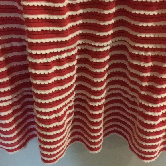 ❤️SALE! Max Studio Skater Dress - Picture 6 of 6